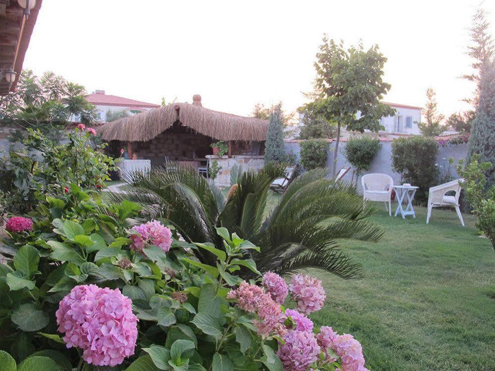 Moy Hotel Алакати Екстериор снимка